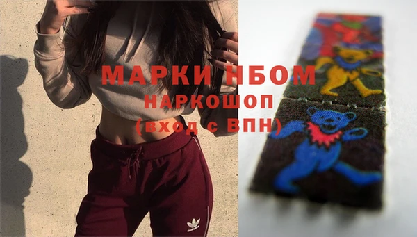 молекула духа Алексин