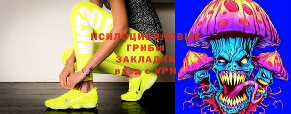 альфа пвп Алексеевка