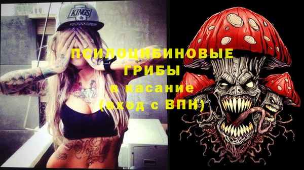 молекула духа Алексин
