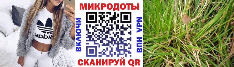 Галлюциногенные грибы Psilocybe  блэк спрут маркетплейс  Сухой Лог 