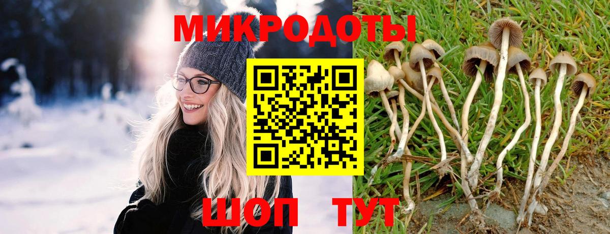 Галлюциногенные грибы MAGIC MUSHROOMS Сухой Лог