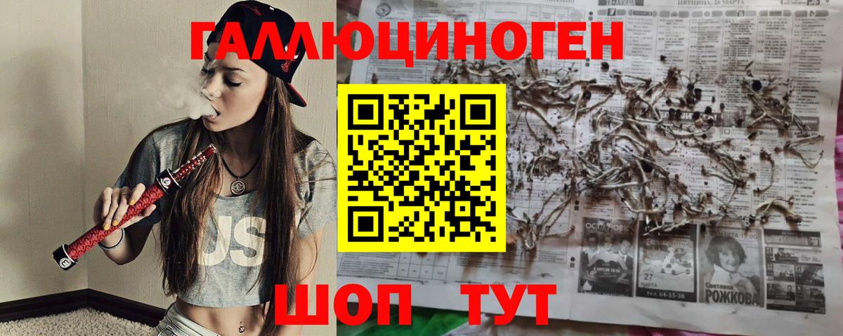 Галлюциногенные грибы MAGIC MUSHROOMS  Вход с VPN  Псилоцибиновые грибы мицелий  Сухой Лог 